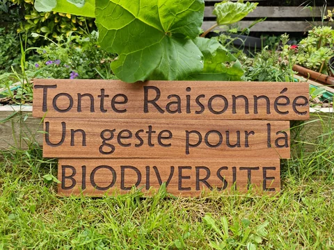 Panneaux extérieurs en bois gravés pour un projet biodiversité